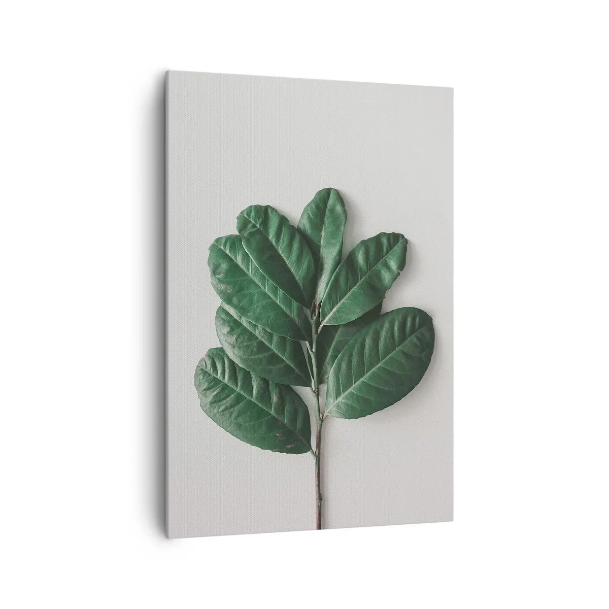 Bild auf Leinwand - Leinwandbild - Ein Zweig grüner Blätter auf hellem Hintergrund - 70x100cm - Eine Zeichnung purer Natur - Moderne Wanddekoration für Wohnzimmer und Schlafzimmer ARTTOR