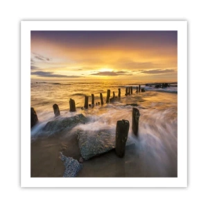 Poster - Die raue Schönheit der Ostsee - 60x60 cm