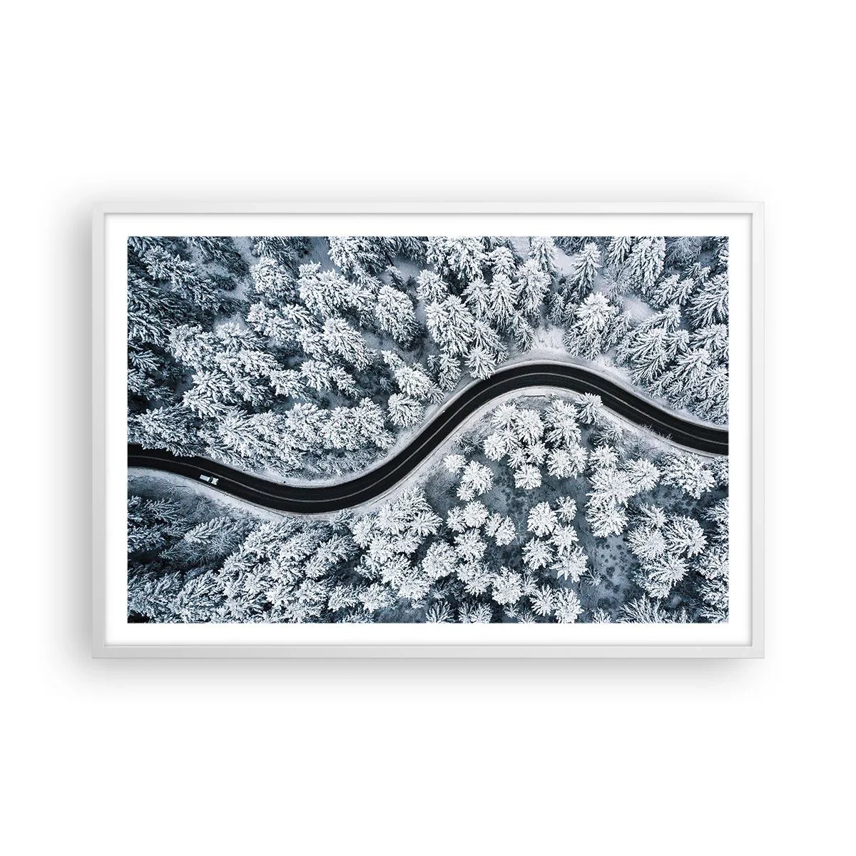 Poster in einem weißen Rahmen - Durch den Winterwald - 91x61 cm