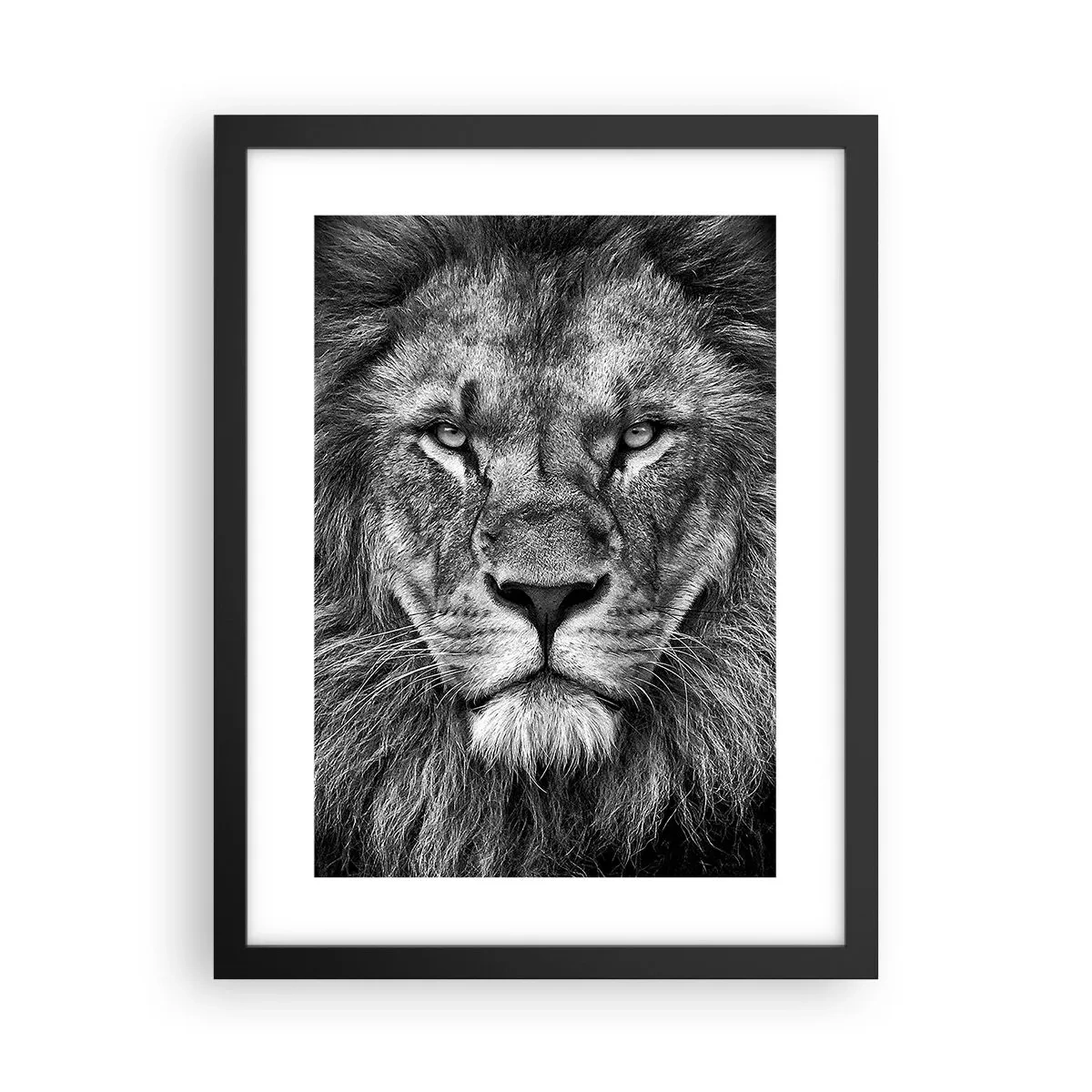 Poster in einem schwarzem Rahmen - Im Krönungsgewand - 30x40 cm