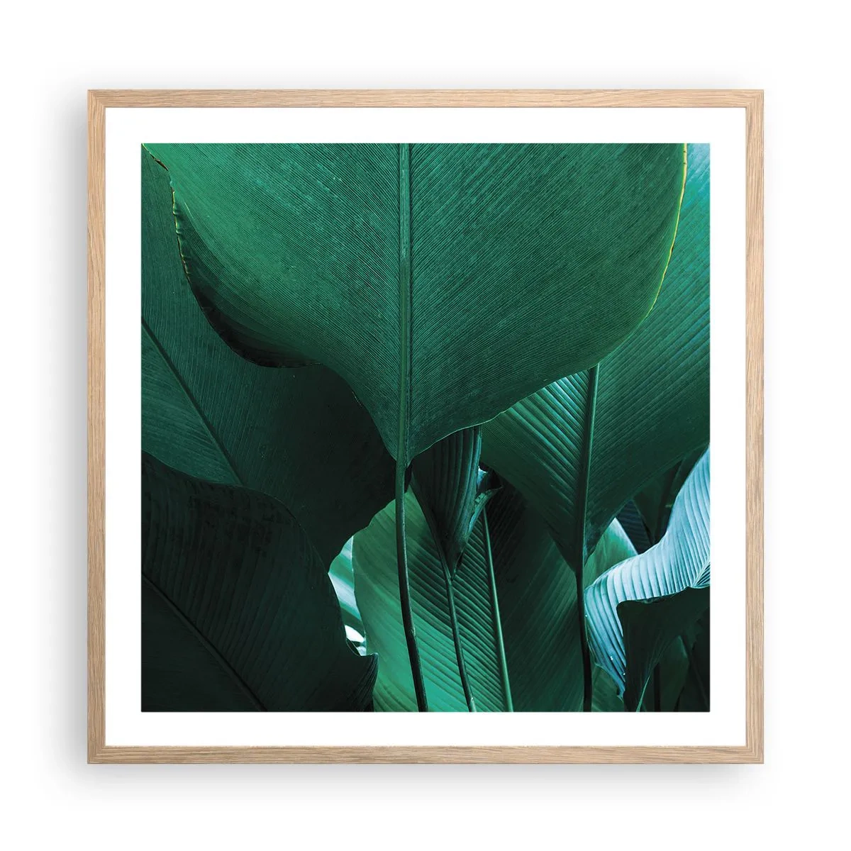 Poster in einem Rahmen aus heller Eiche - Dem Licht zugewandt - 60x60 cm