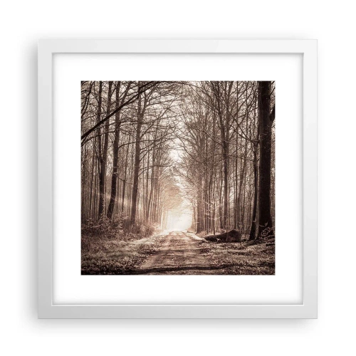 Poster in einem weißen Rahmen - Waldkathedrale - 30x30 cm