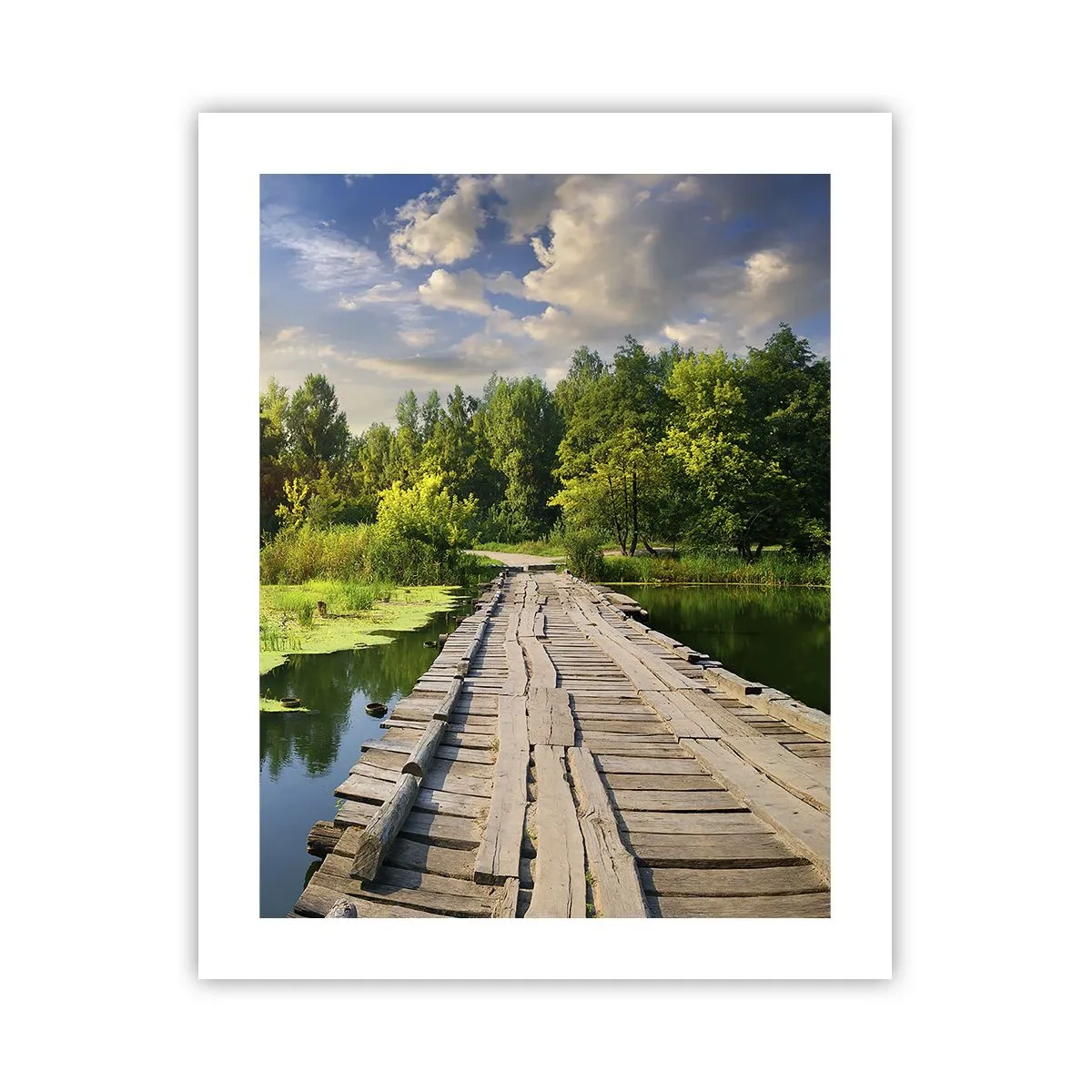 Poster - Sommer, Sommer überall - 40x50 cm
