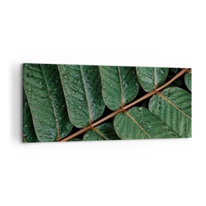 Bild auf Leinwand - Leinwandbild - Makroaufnahme von grünen Blättern mit Tautropfen - 120x50cm - Im grünen Rhythmus - Moderne Wanddekoration für Wohnzimmer und Schlafzimmer ARTTOR