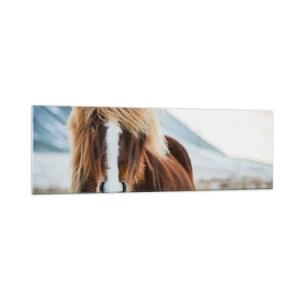 Glasbild - Bild auf glas - Islandpferd vor einer Berglandschaft - 160x50cm - Spürst du die Freiheit? - Moderne Wanddekoration für Wohnzimmer und Schlafzimmer ARTTOR