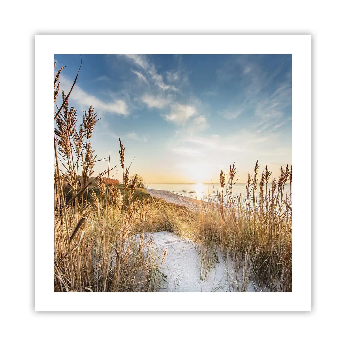 Poster - Nordstrand - 50x50 cm