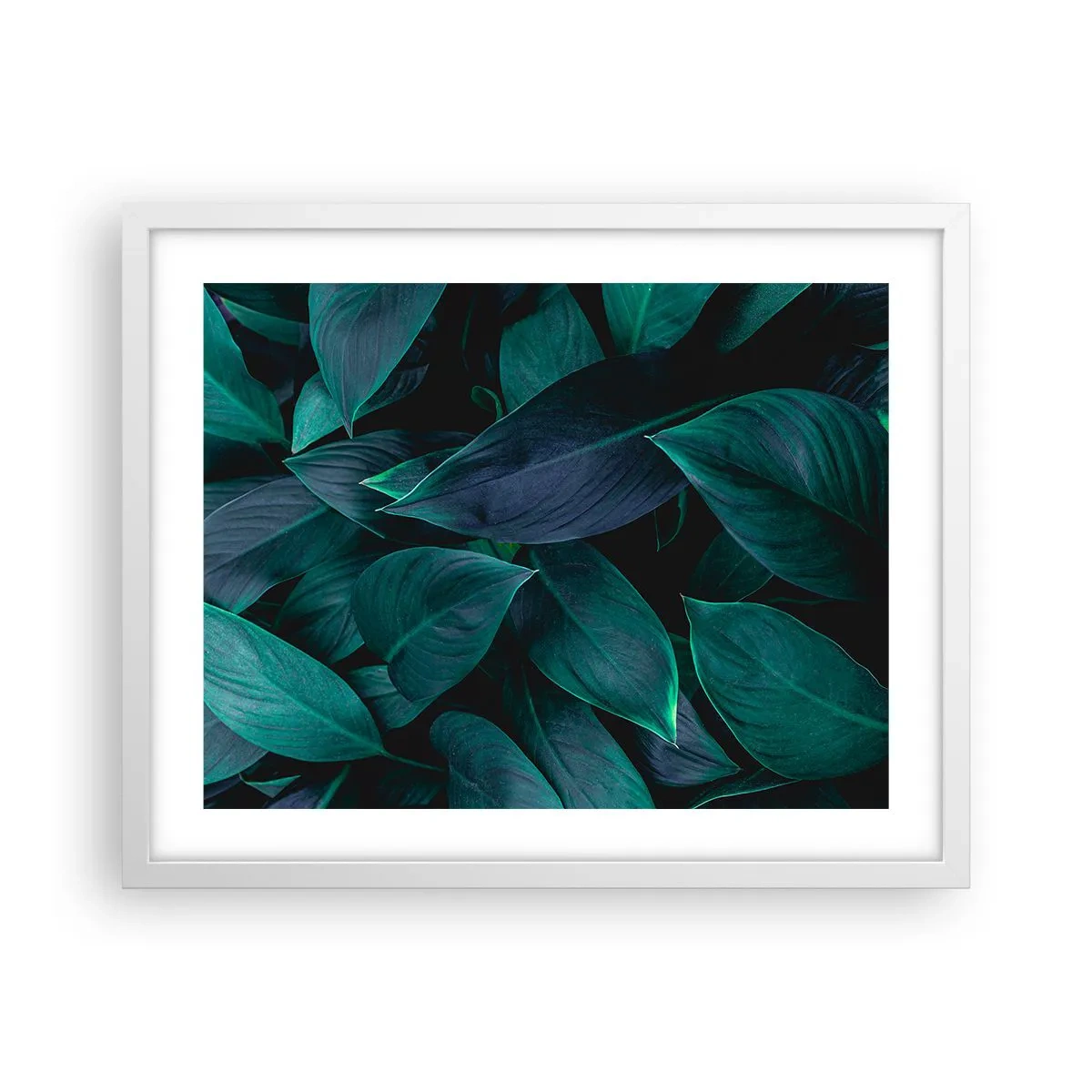 Poster in einem weißen Rahmen - Grün in sich selbst - 50x40 cm