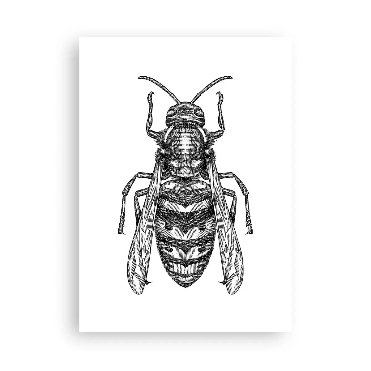 Poster - Detaillierte Darstellung einer Wespe - 50x70cm - Von einem Insektenplaneten - Moderne Wanddekoration für Wohnzimmer und Schlafzimmer ARTTOR