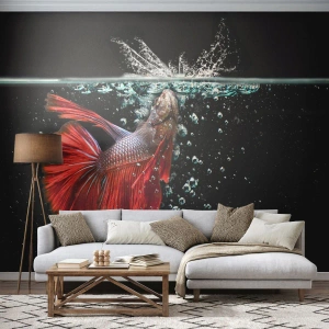 Fototapete Standard Eco - Du hast drei Wünsche - Abstraktion, Aquarium, Fisch - 200x140 cm