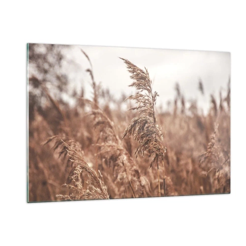 Glasbild - Bild auf glas - Getrocknete Gräser im Wind im herbstlichen Licht der Natur - 120x80cm - Auf den Feldern ist es schon Herbst - Moderne Wanddekoration für Wohnzimmer und Schlafzimmer ARTTOR