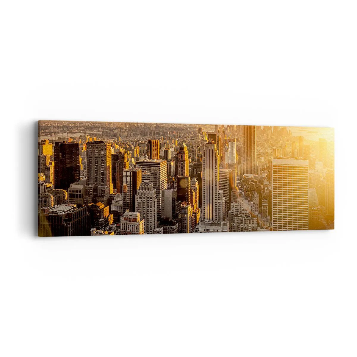 Bild auf Leinwand - Leinwandbild - In der Sonne wachsen - 90x30 cm