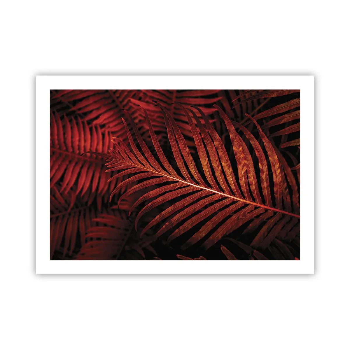 Poster - Die Hitze des Lebens - 70x50 cm