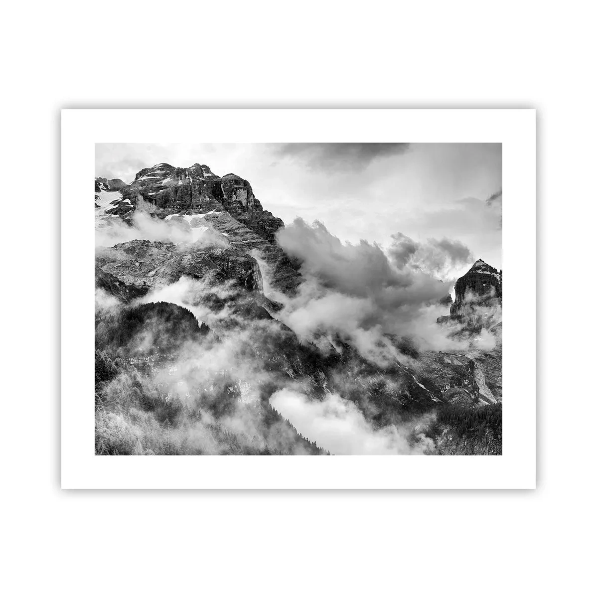 Poster - Schön und grausam - 50x40 cm