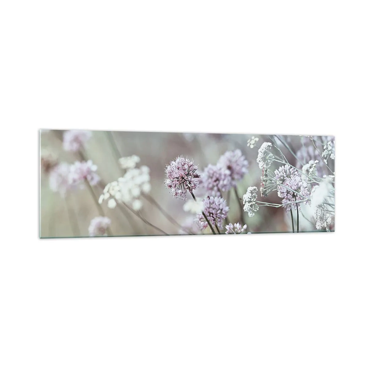 Glasbild - Bild auf glas - Zarte Blüten in Pastelltönen - 160x50cm - Süße filigrane Kräuter - Moderne Wanddekoration für Wohnzimmer und Schlafzimmer ARTTOR