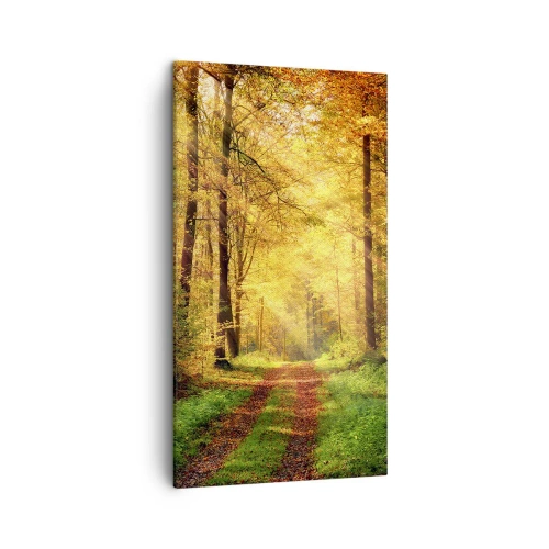 Bild auf Leinwand - Leinwandbild - Waldgoldene Stille - 45x80 cm