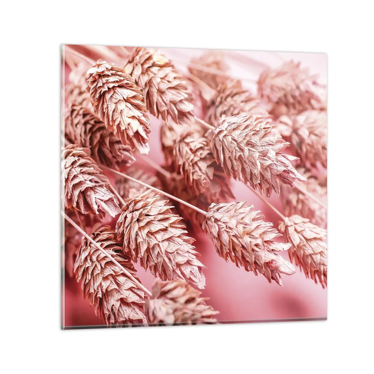 Glasbild - Bild auf glas - Eine Blumenkaskade in Rosa - 60x60 cm