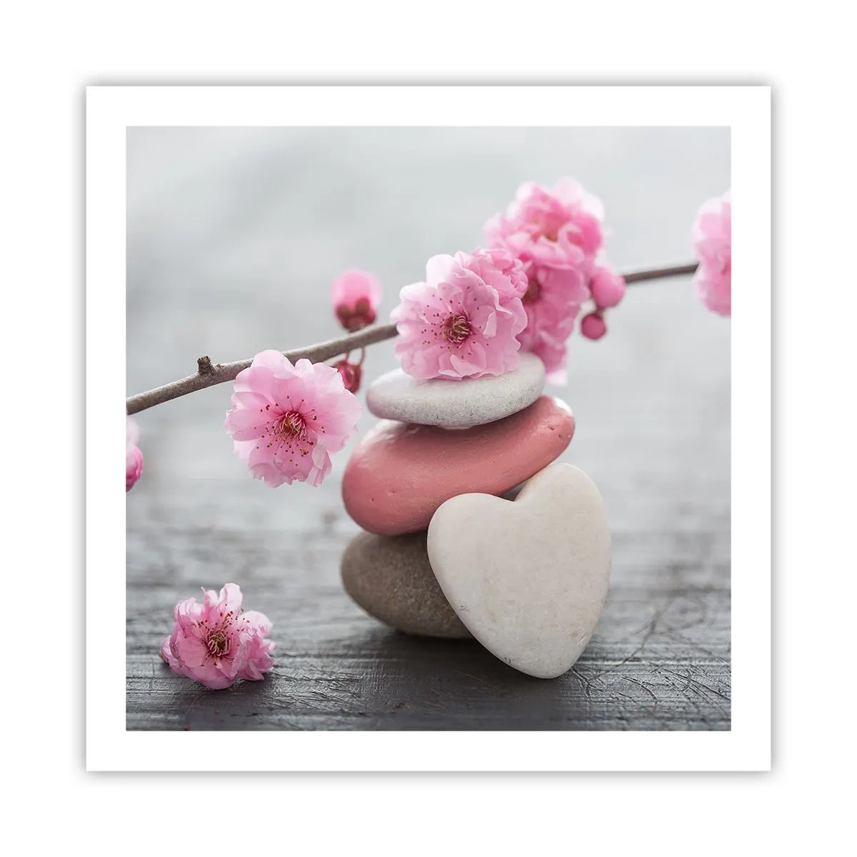 Poster - Glückseligkeit mit einer Kirschblüte - 60x60 cm