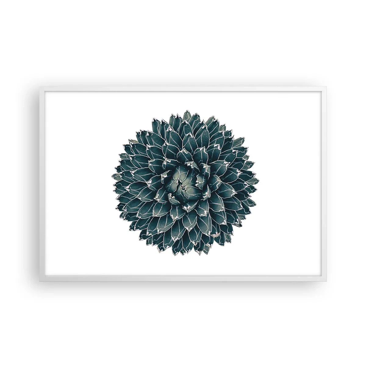 Poster in einem weißen Rahmen - Stern der Wüste - 91x61 cm