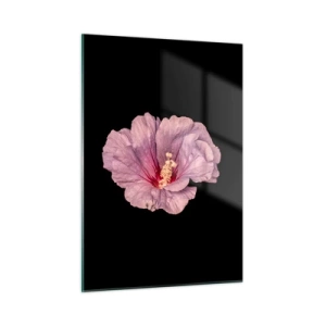 Glasbild - Bild auf glas - Nahaufnahme einer rosa Hibiskusblüte vor schwarzem Hintergrund - 50x70cm - Direkt ins Herz - Moderne Wanddekoration für Wohnzimmer und Schlafzimmer ARTTOR