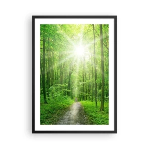 Poster in einem schwarzem Rahmen - Ein Waldweg, beleuchtet von den Sonnenstrahlen - 50x70cm - Die grüne Kathedrale - Moderne Wanddekoration für Wohnzimmer und Schlafzimmer ARTTOR