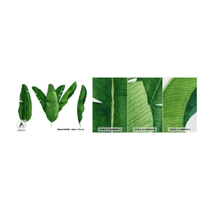 Fototapeten Muster Premium Canvas - Grüne Symmetrie - Bananenblatt, Tropisch, Botanischer Stil - 100x30 cm