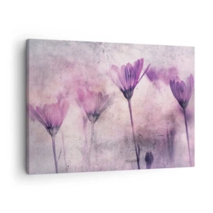 Bild auf Leinwand - Leinwandbild - Zarte Blüten in Lilatönen auf hellem Untergrund - 70x50cm - Ein Blumentraum - Moderne Wanddekoration für Wohnzimmer und Schlafzimmer ARTTOR