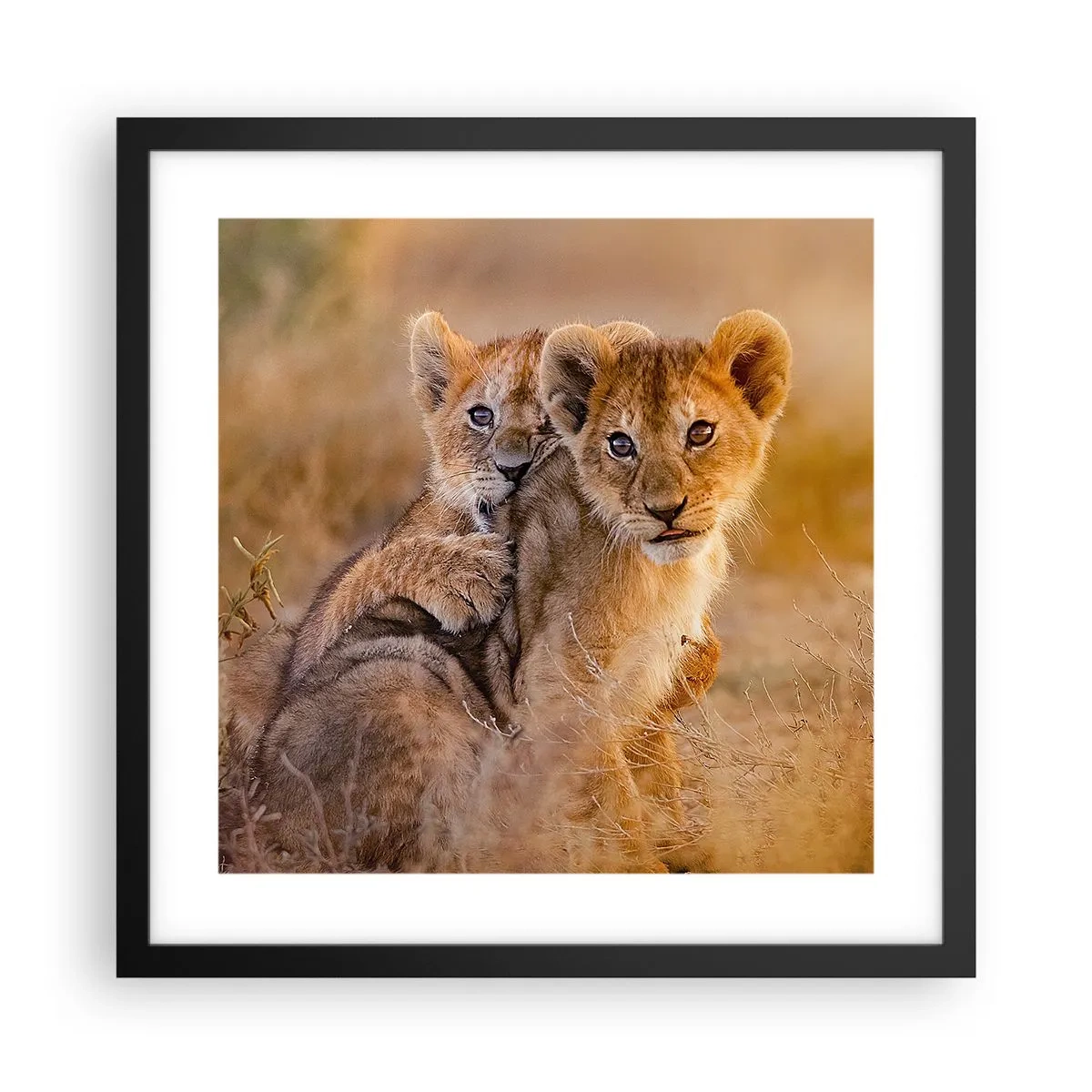 Poster in einem schwarzem Rahmen - Bitte nicht stören! Wir haben Spaß - 40x40 cm