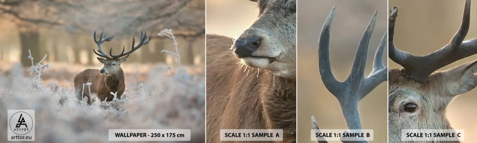 Fototapeten Muster Selbstklebend Deluxe Sticker - Ein flotter Morgen - Landschaft, Reh, Tiere - 100x30 cm