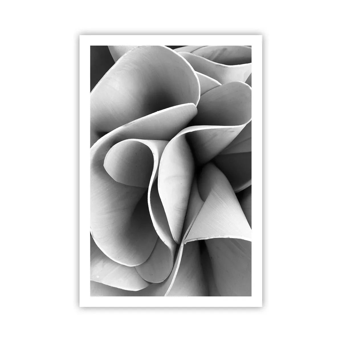 Poster - Es passiert im Weltraum - 61x91 cm