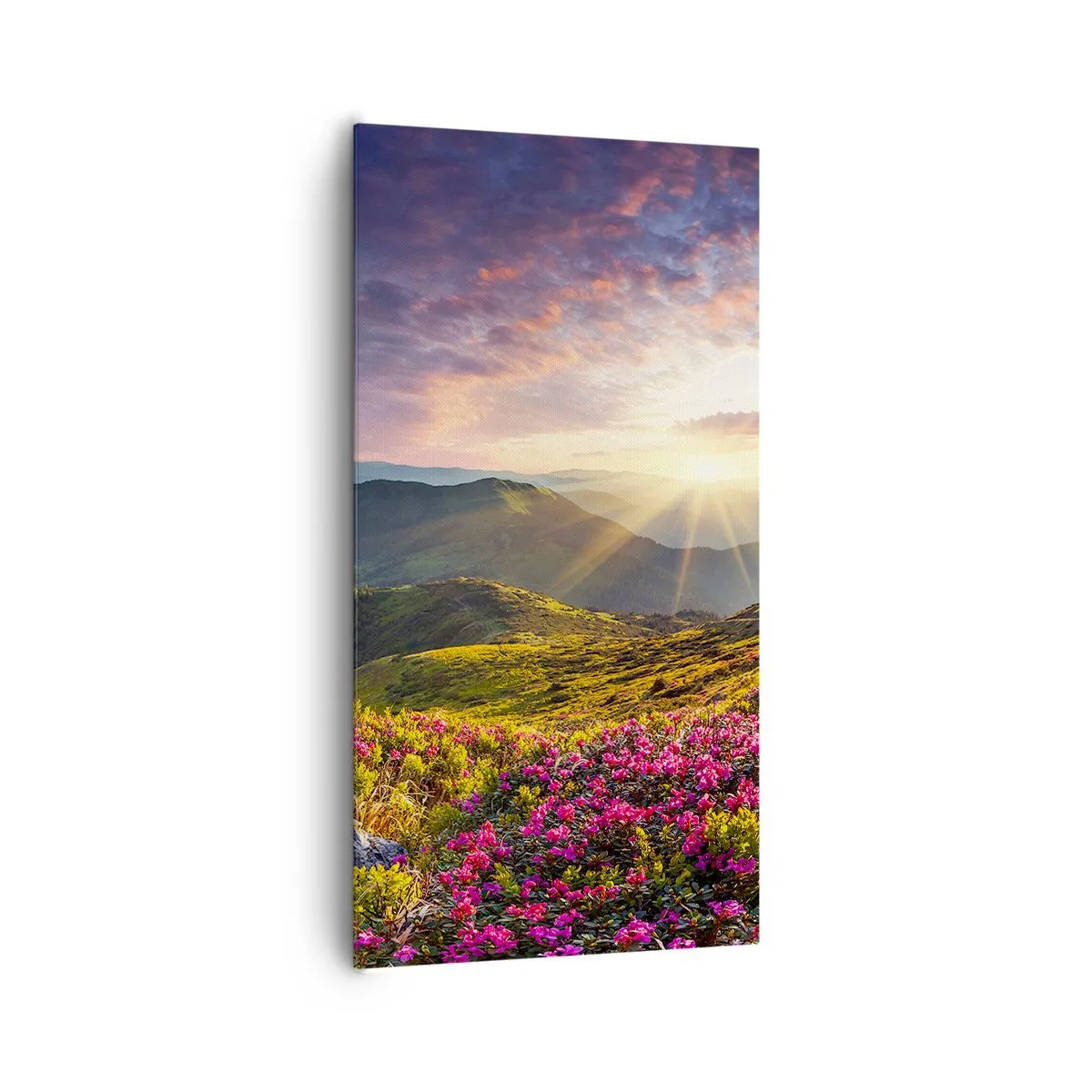 Bild auf Leinwand - Leinwandbild - Frische am Bergmorgen - 65x120 cm