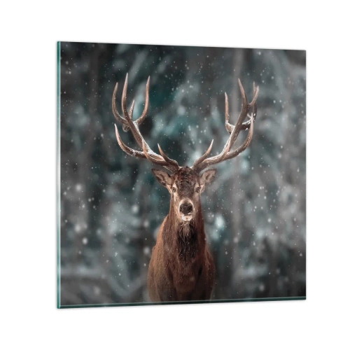 Glasbild - Bild auf glas - Gekrönter König des Waldes - 30x30 cm