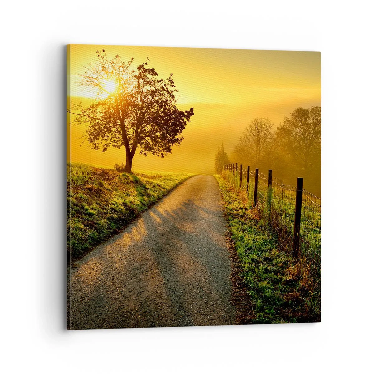 Bild auf Leinwand - Leinwandbild - Honig-Nachmittag - 70x70 cm