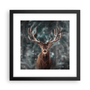 Poster in einem schwarzem Rahmen - Gekrönter König des Waldes - 30x30 cm
