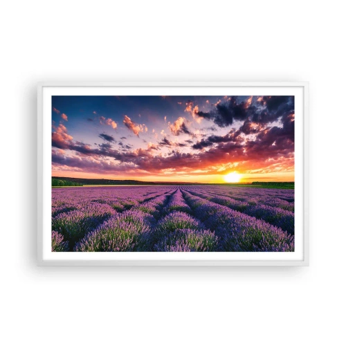 Poster in einem weißen Rahmen - Lavendel Welt - 91x61 cm