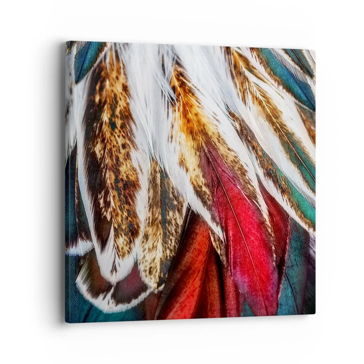 Bild auf Leinwand - Leinwandbild - Geheimnisse des Fliegens - 40x40 cm