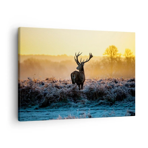 Bild auf Leinwand - Leinwandbild - Ein Reh auf einer frostigen Lichtung bei Sonnenaufgang - 70x50cm - Gekrönt auf seinem Besitz - Moderne Wanddekoration für Wohnzimmer und Schlafzimmer ARTTOR
