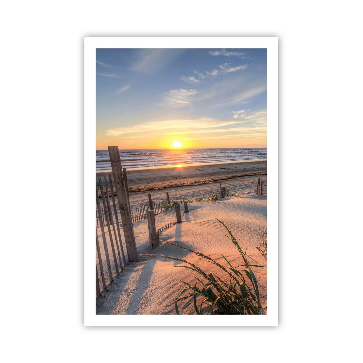 Poster - Schein und Schatten des Windes - 61x91 cm