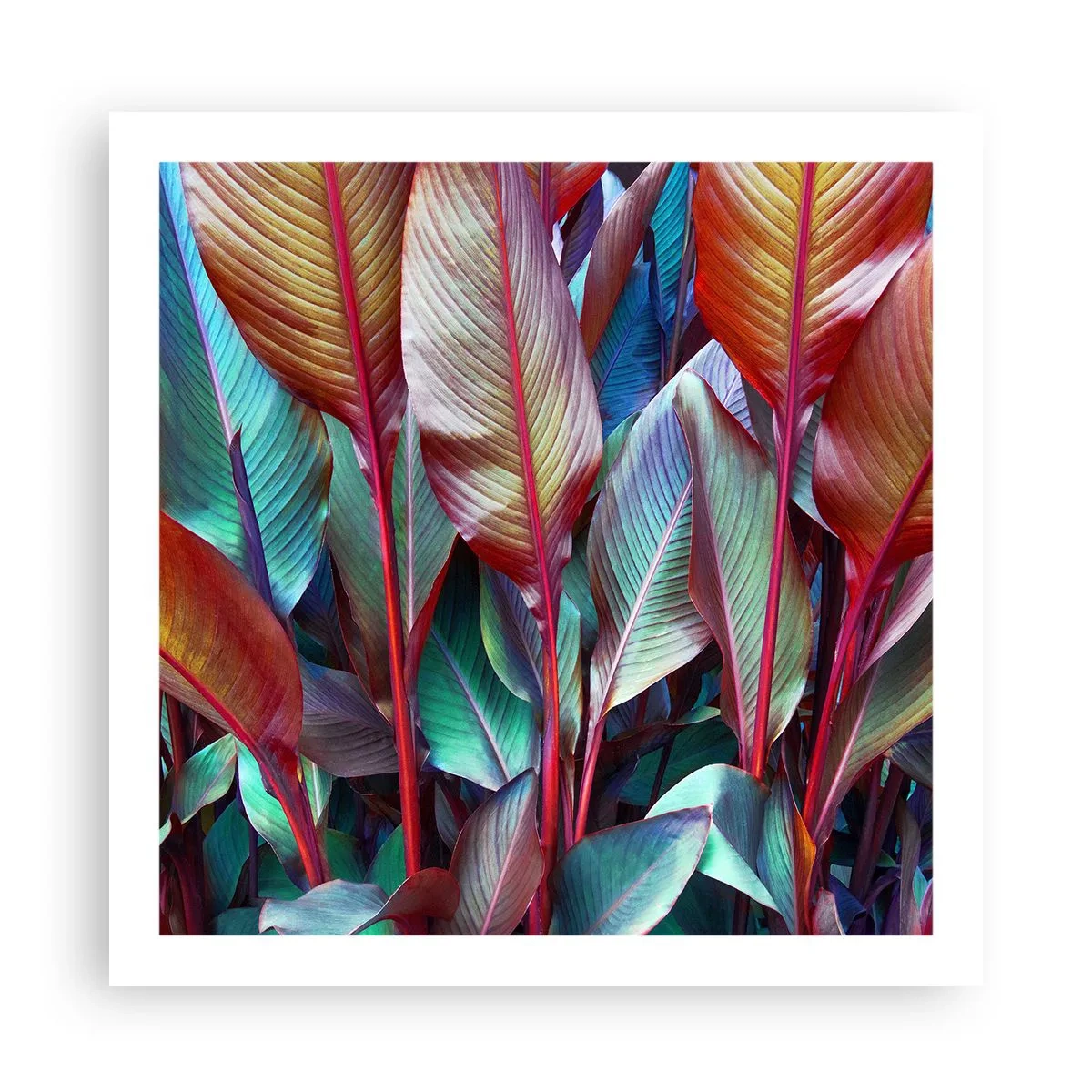 Poster - Buntes Dickicht - 60x60 cm