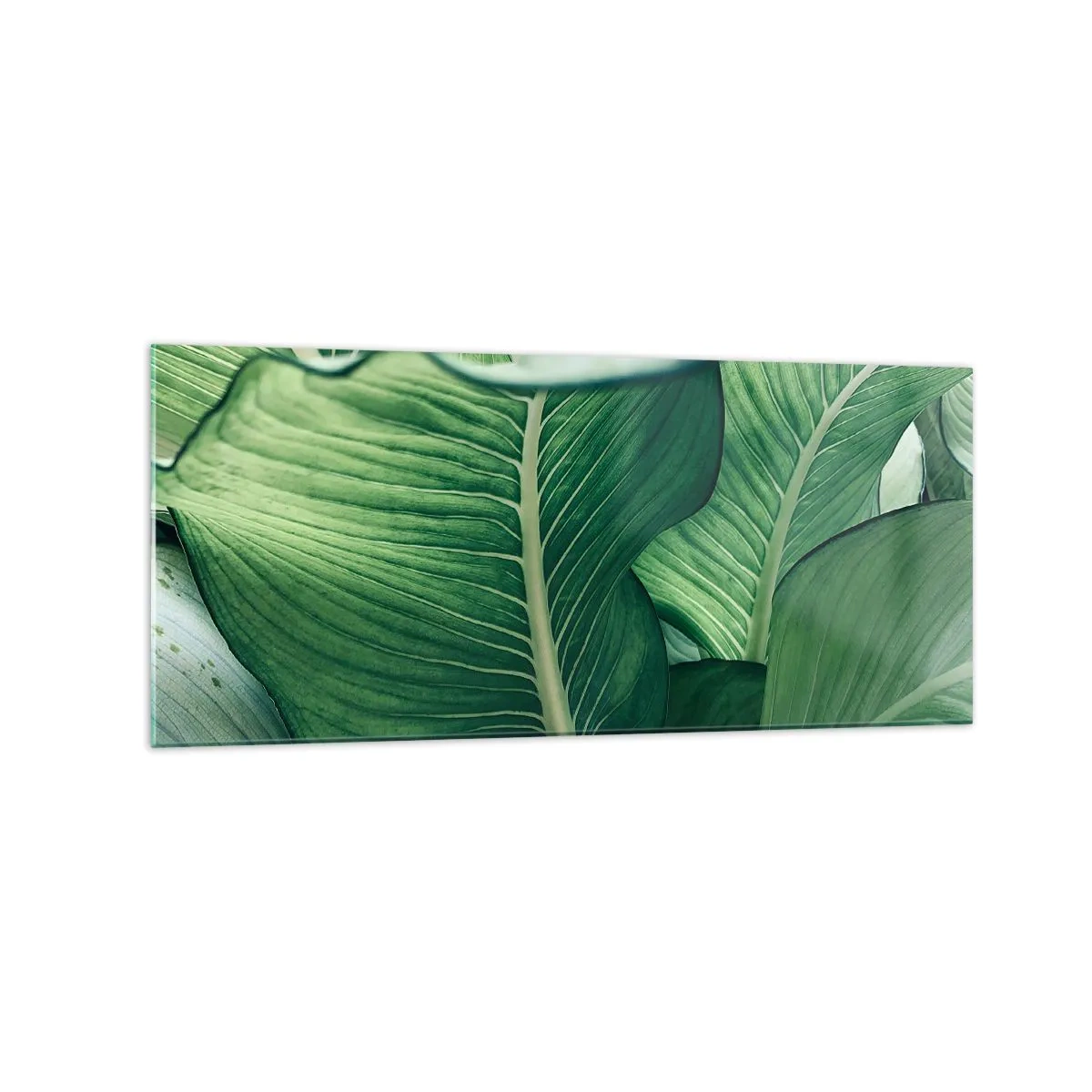 Glasbild - Bild auf glas - Grüne Blätter mit ausdrucksstarken Details und Struktur - 120x50cm - Intensiv grünes Leben - Moderne Wanddekoration für Wohnzimmer und Schlafzimmer ARTTOR