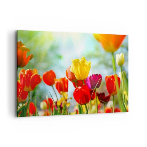 Bild auf Leinwand - Leinwandbild - Bunte Tulpen im Sonnenschein - 120x80cm - Alle Farben der Sonne - Moderne Wanddekoration für Wohnzimmer und Schlafzimmer ARTTOR
