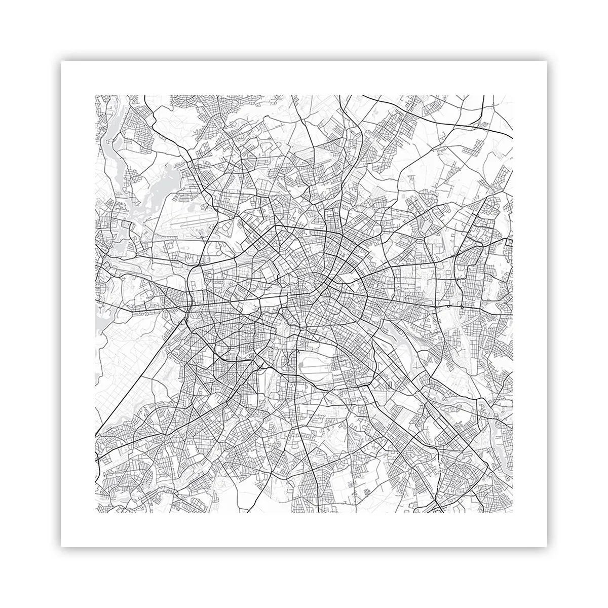 Poster - Berliner Blume - 50x50 cm