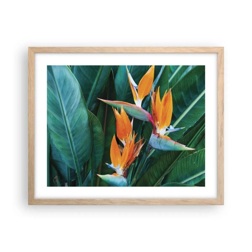 Poster in einem Rahmen aus heller Eiche - Ist es eine Blume oder ist es ein Vogel? - 50x40 cm