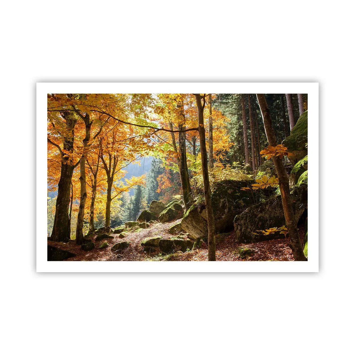 Poster - Zeit zum Entspannen - 91x61 cm