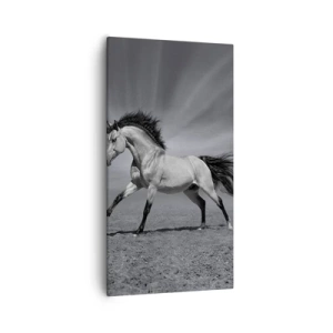 Bild auf Leinwand - Leinwandbild - Geboren um Freude zu bereiten - 55x100 cm