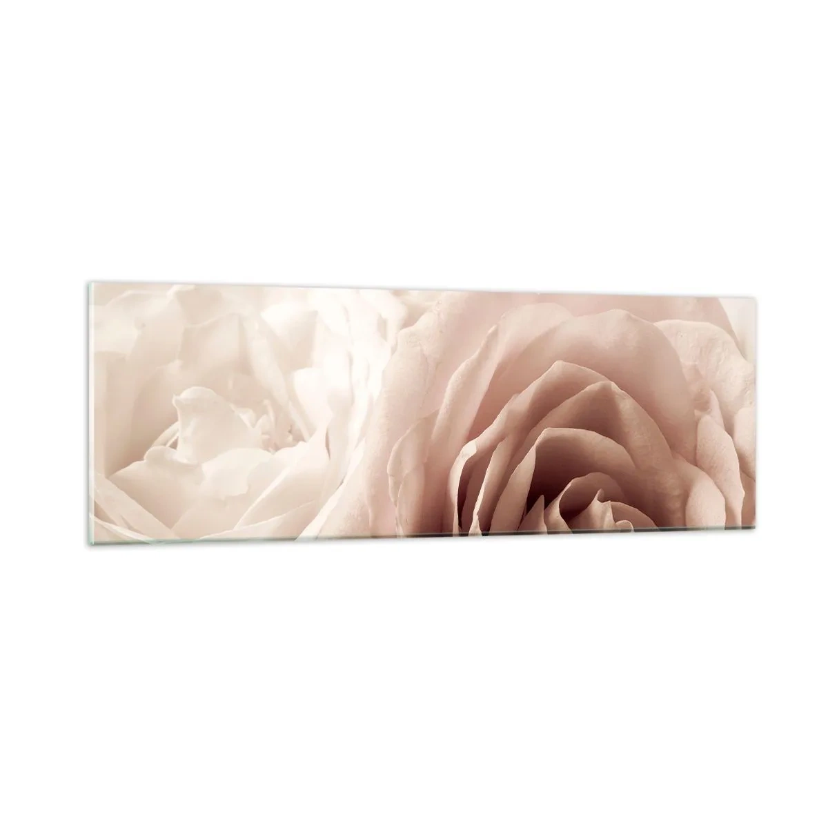 Glasbild - Bild auf glas - Im Herzen der Rose - 90x30 cm