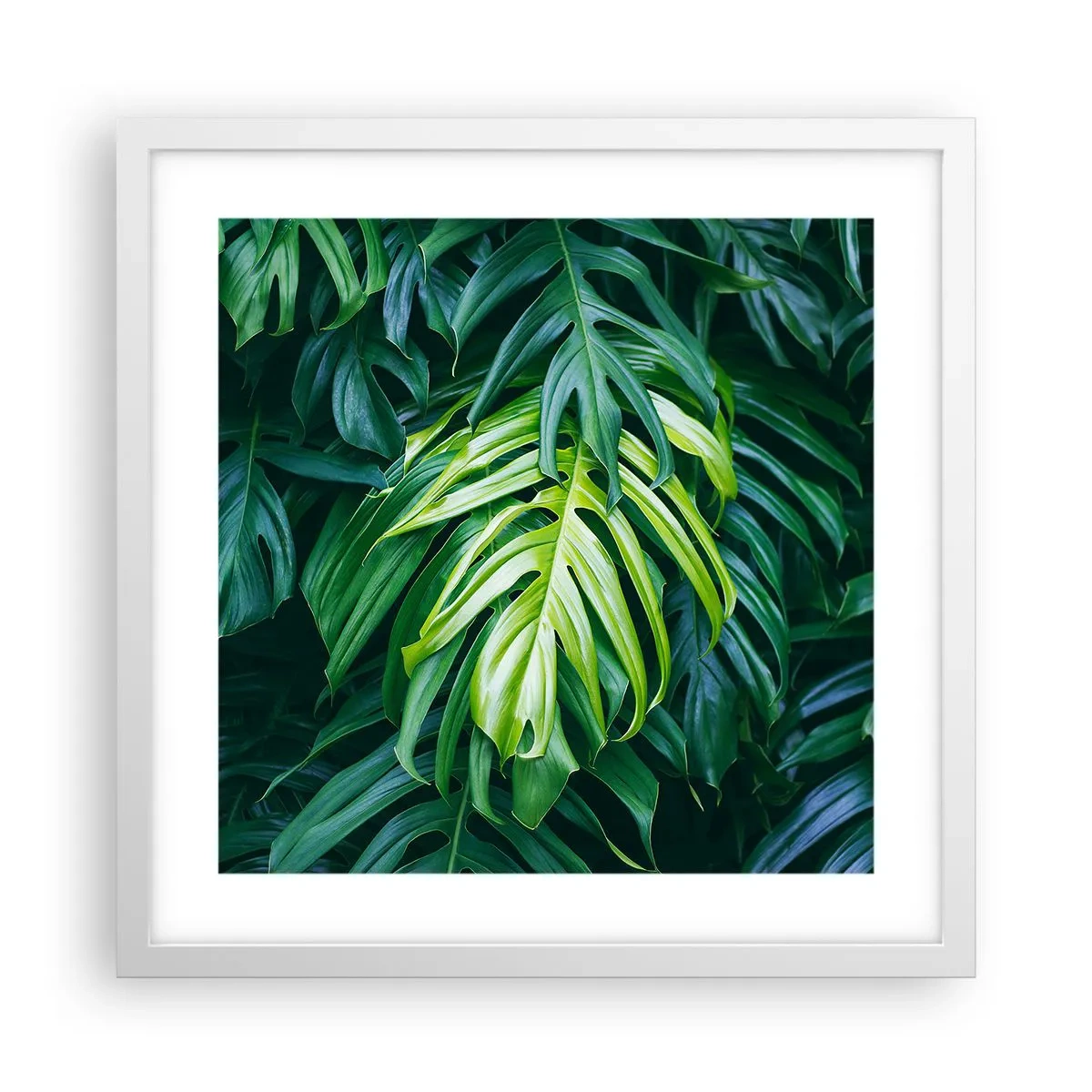 Poster in einem weißen Rahmen - Tauchen Sie ein in die Frische - 40x40 cm