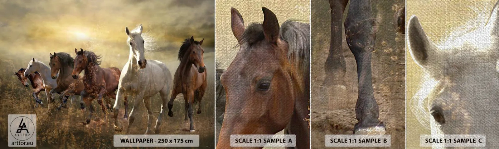 Fototapeten Muster Premium Canvas - Lang lebe die Freiheit! - Tiere, Pferd, Galopp - 100x30 cm