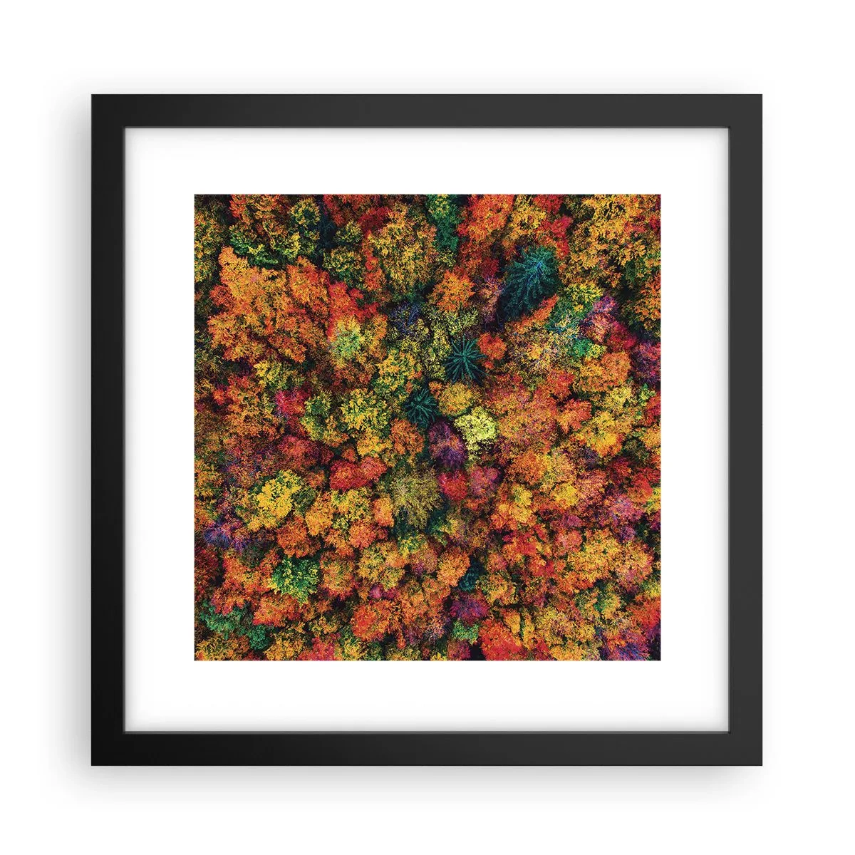 Poster in einem schwarzem Rahmen - Blumenstrauß aus Herbstbäumen - 30x30 cm