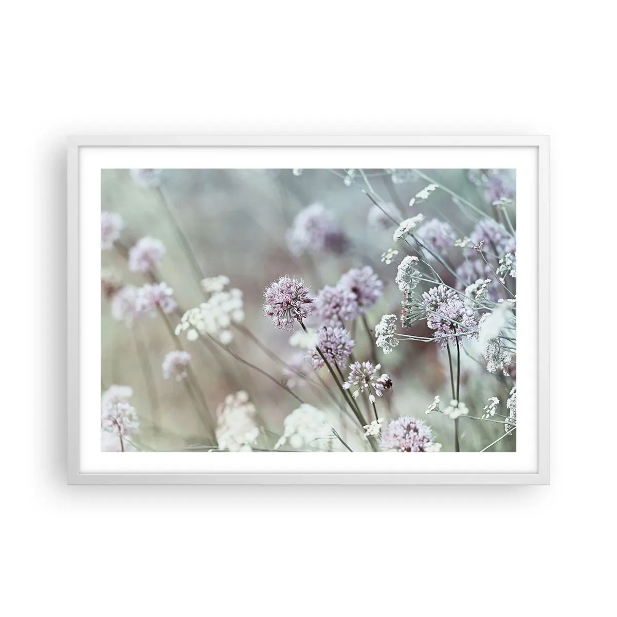 Poster in einem weißen Rahmen - Süße filigrane Kräuter - 70x50 cm