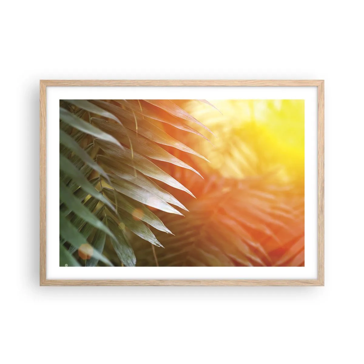 Poster in einem Rahmen aus heller Eiche - Morgen im Dschungel - 70x50 cm